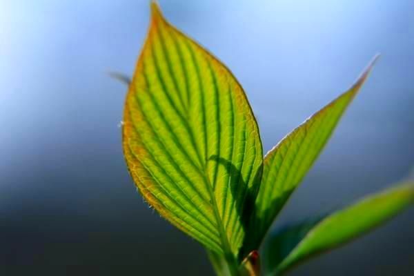 水泥行业加强领导作风建设，促进民族产业体系现代化